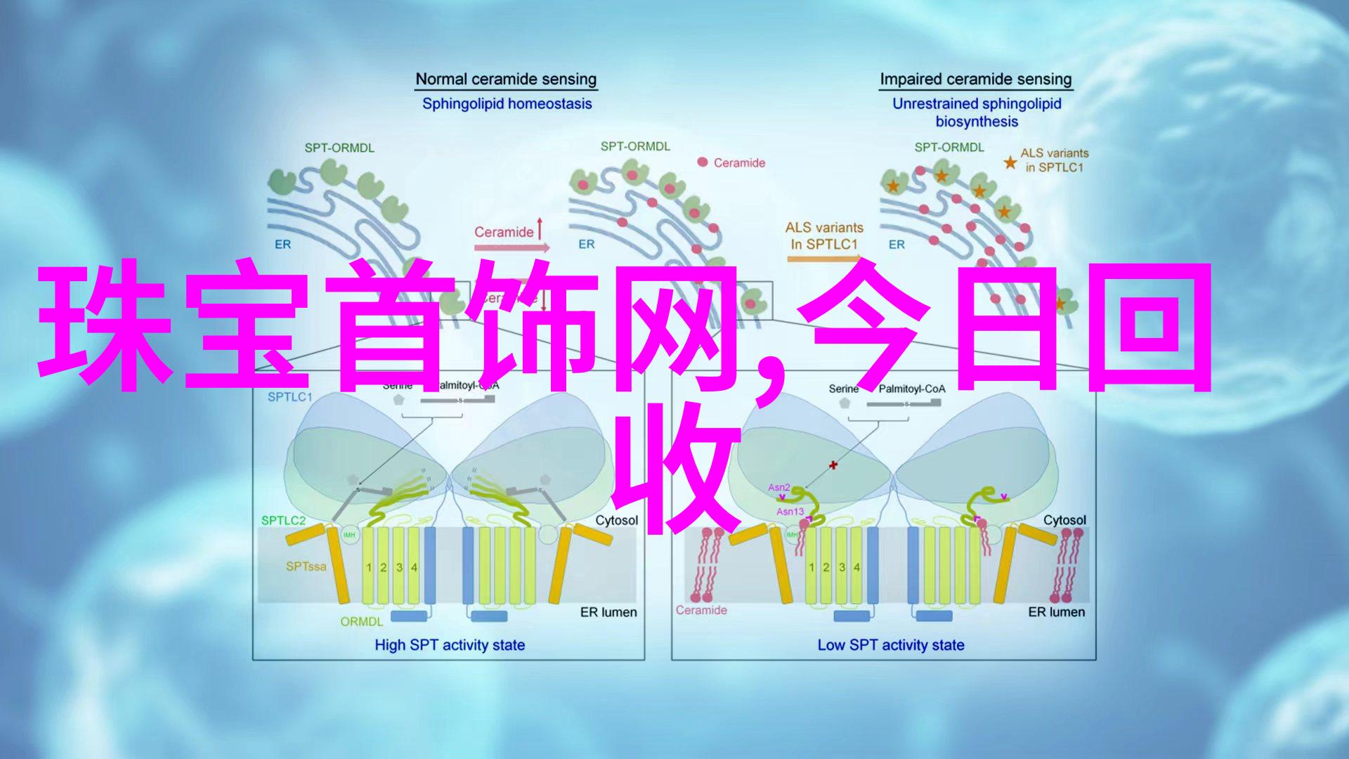 十八岁PUXIU朴秀在世界时装透露服装展上展示成长启示录社会关注其青春与时尚的交响曲