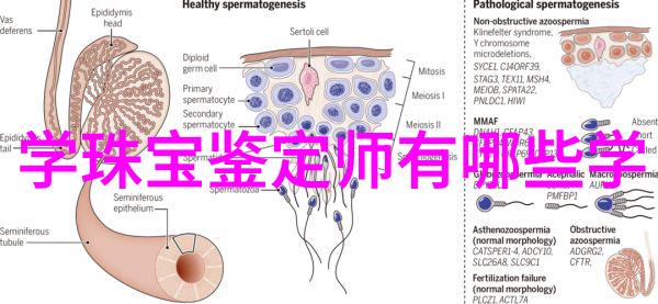 劳力士精英汇聚探索官方旗舰店的独特魅力