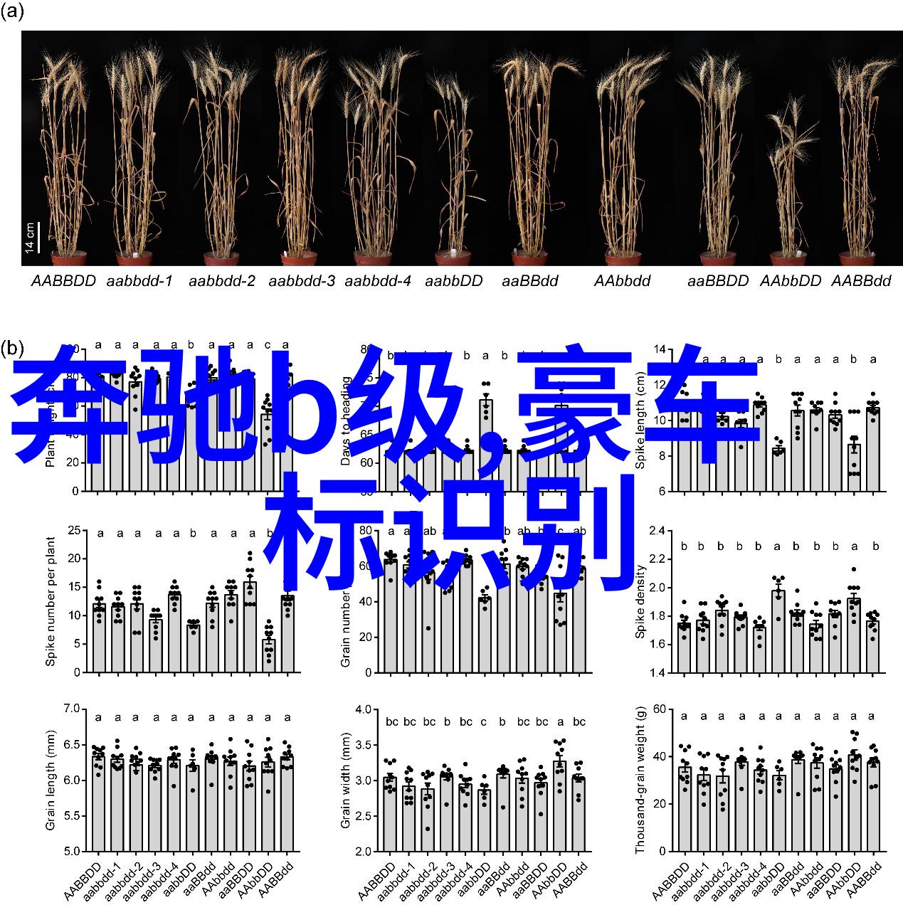 北京理工大学钢铁之城下的学子梦