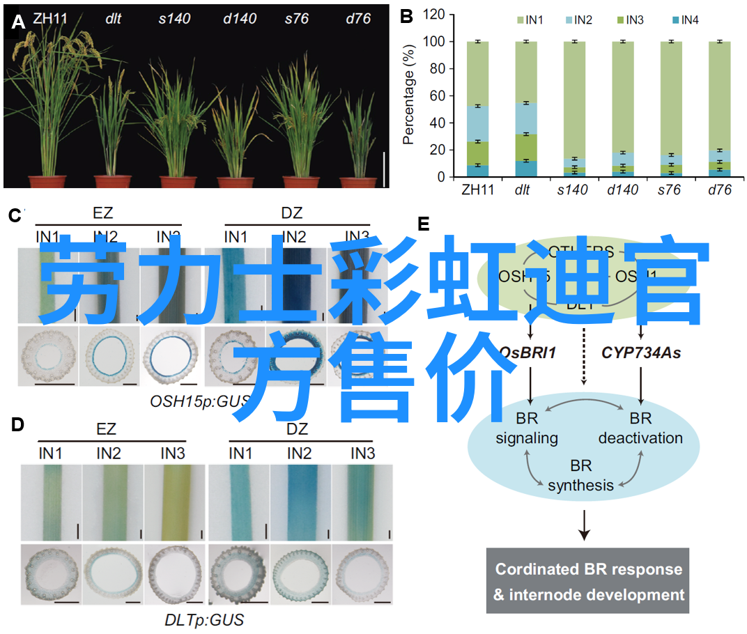 妈妈总结的厨房小工具个个省钱还实用有了它我再也不怕下厨了