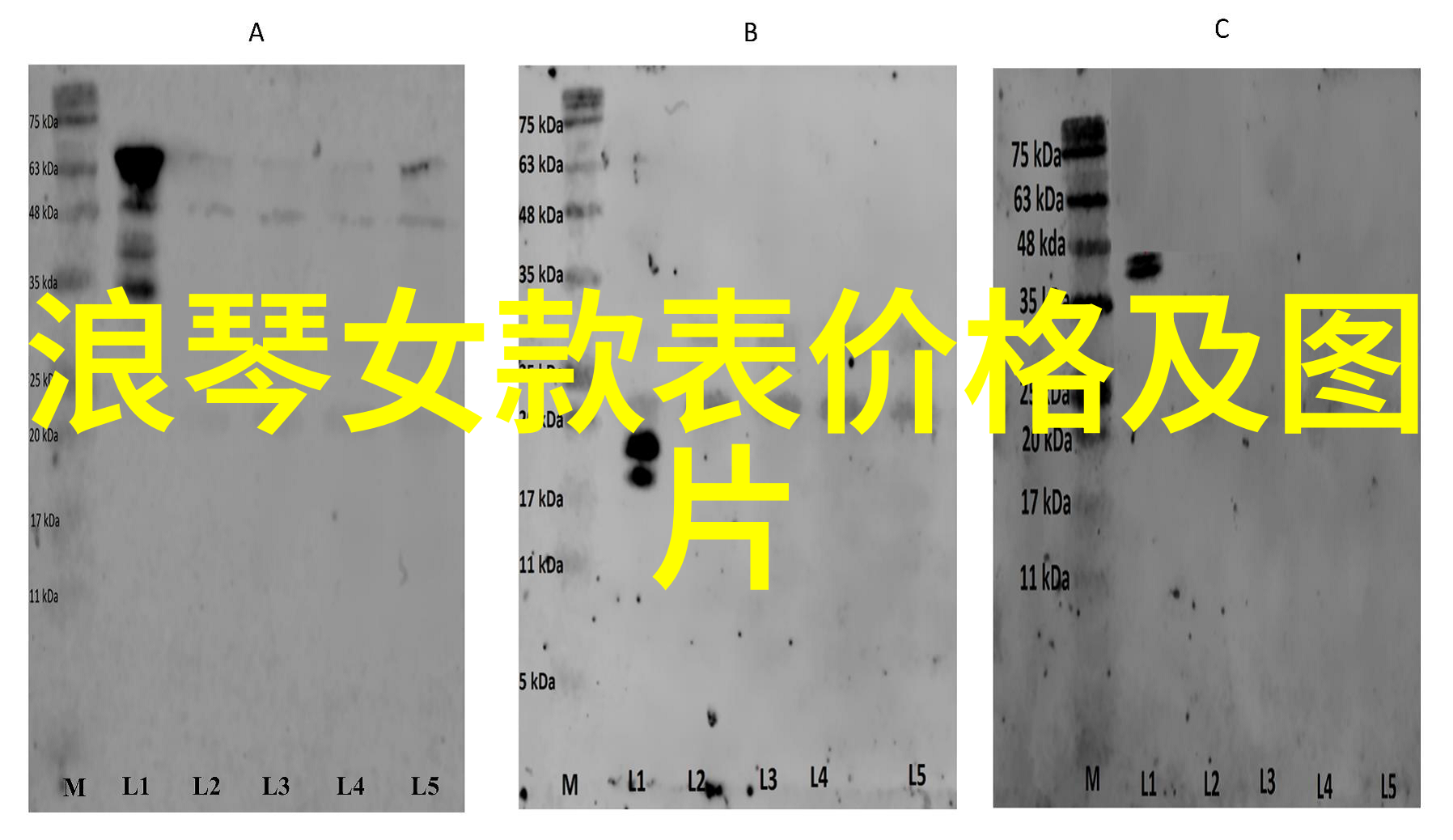 隐形眼镜使用心得我是如何开始的