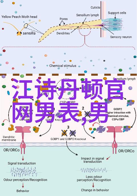 香水背后的毒液揭秘那些甜美却隐含危险的芳香