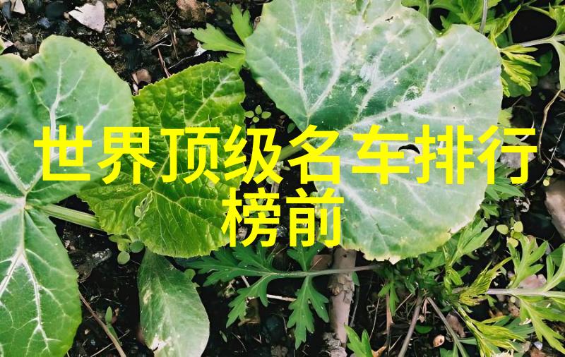 奈奈与熏的无尽冒险奇幻世界中的不凡友情