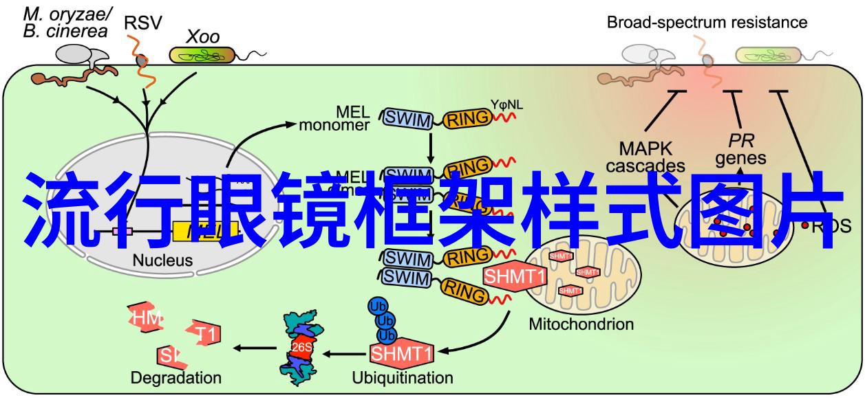 科技革命的序幕002726与未来世界的梦想