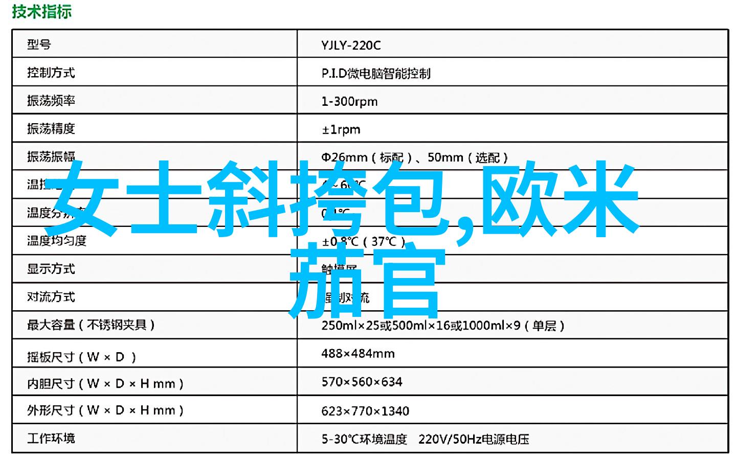 在香水湾举行音乐节会有哪些独特的表演和活动呢