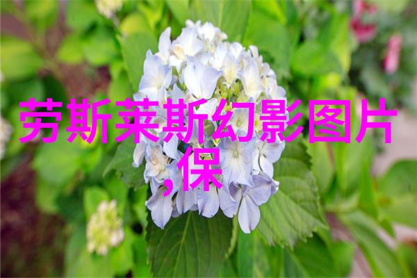 索菲亚全屋定制价目表精彩揭晓家居梦想量身订制