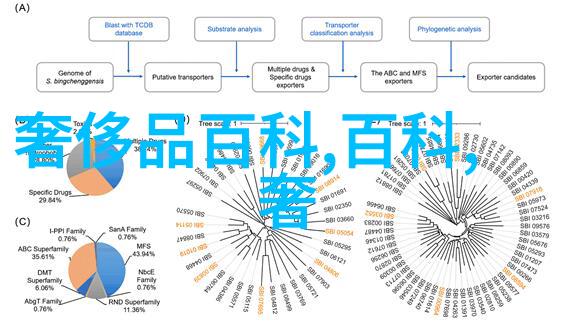 细节决定成败揭秘高级男人日常护理与打理技巧