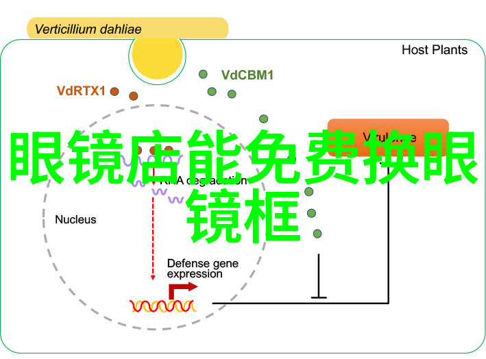 巴利在全球化背景下的现状如何