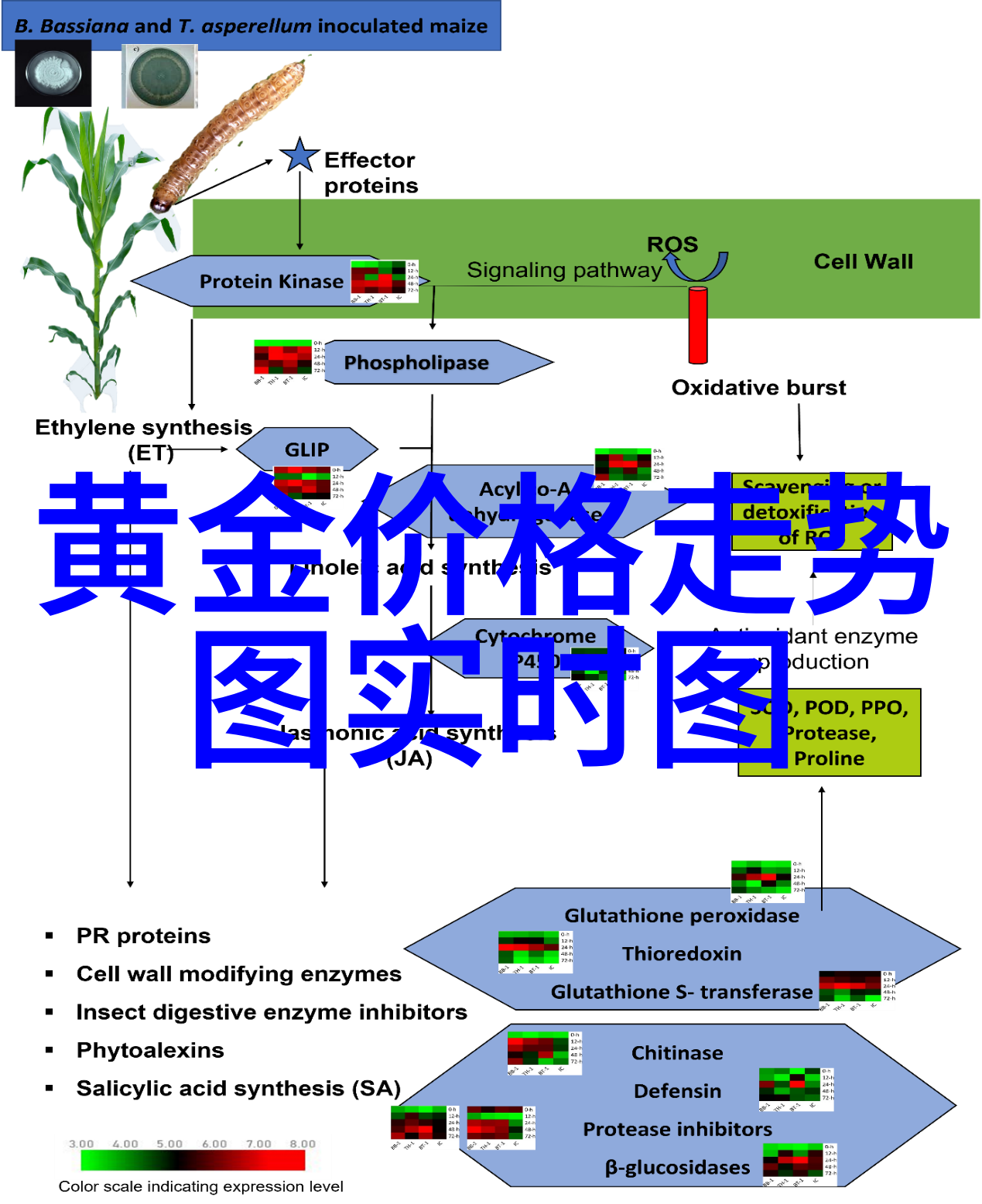 在璀璨的光芒中珠宝加工的奥秘又将被揭开吗