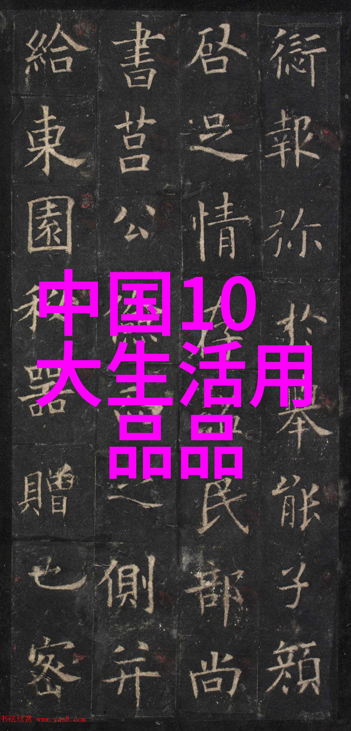 巴利文化中的宗教哲学探究从古代经典到现代实践的演变与影响