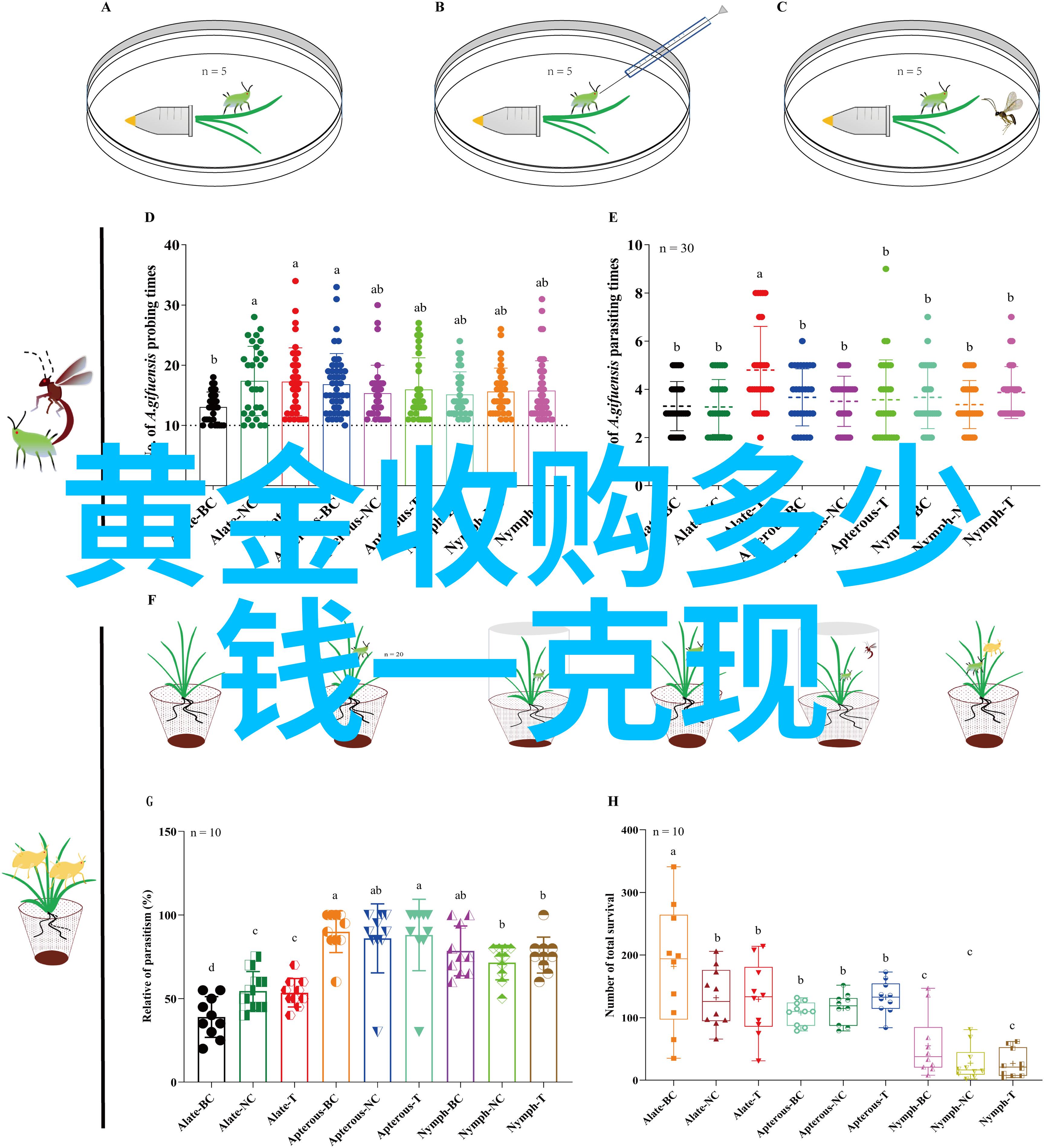 闪耀宝石从钻石到水晶探秘每一种珠宝的搞笑故事