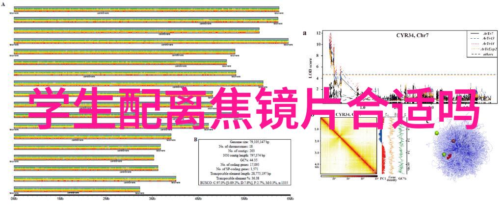 我和巴利的故事追逐梦想的小伙伴我的巴利岁月