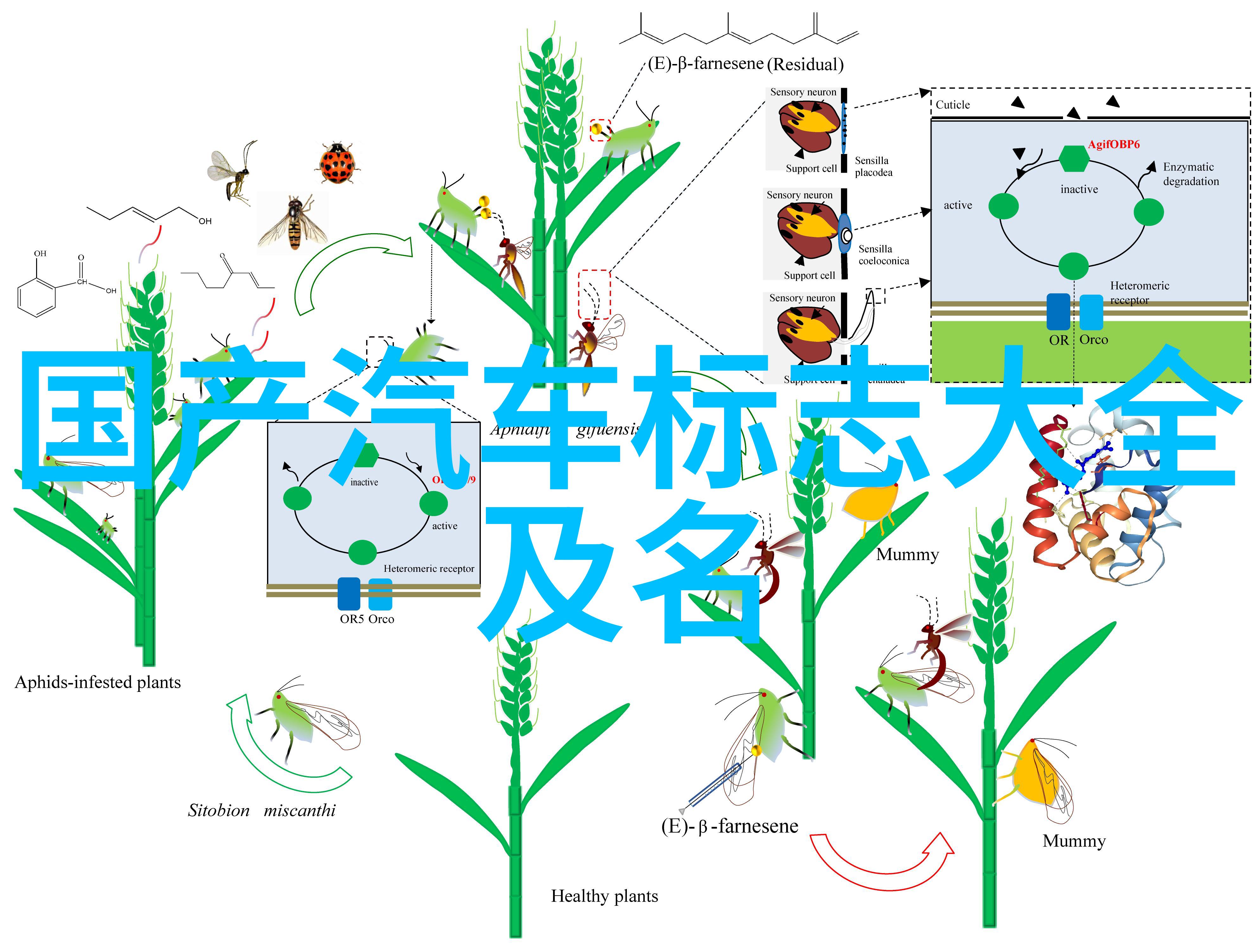 家居生活空间的完美布局与设计灵感分享