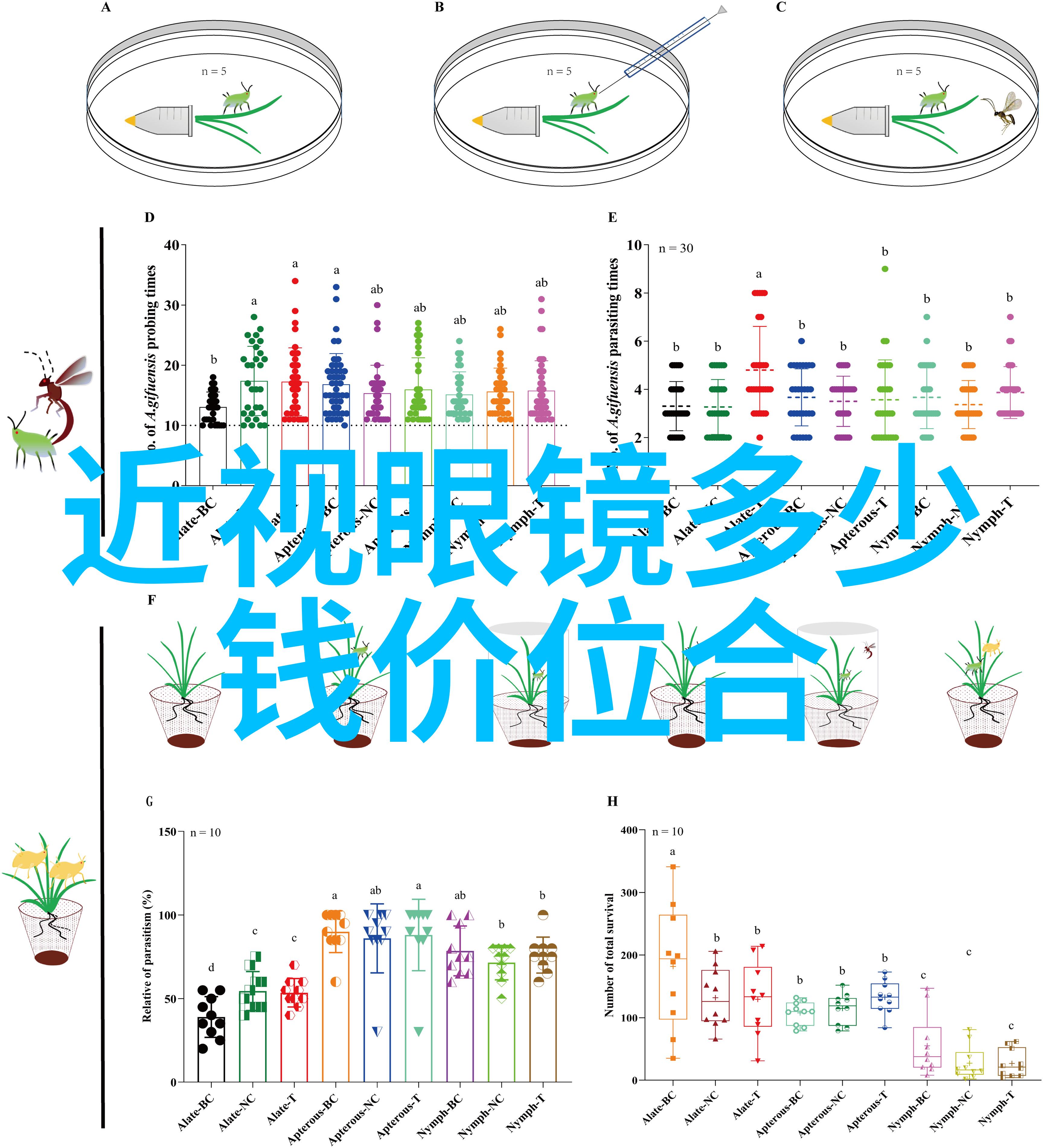 男孩的剪发奇遇从乱毛到帅哥只需一刀之力