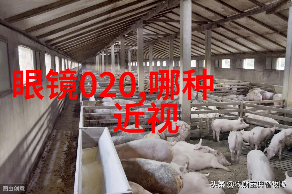 时尚衣橱2023年新潮流装饰灵感大集合