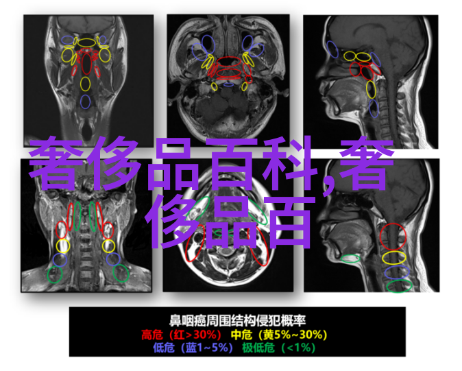 镜中自在揭秘优雅配戴的艺术