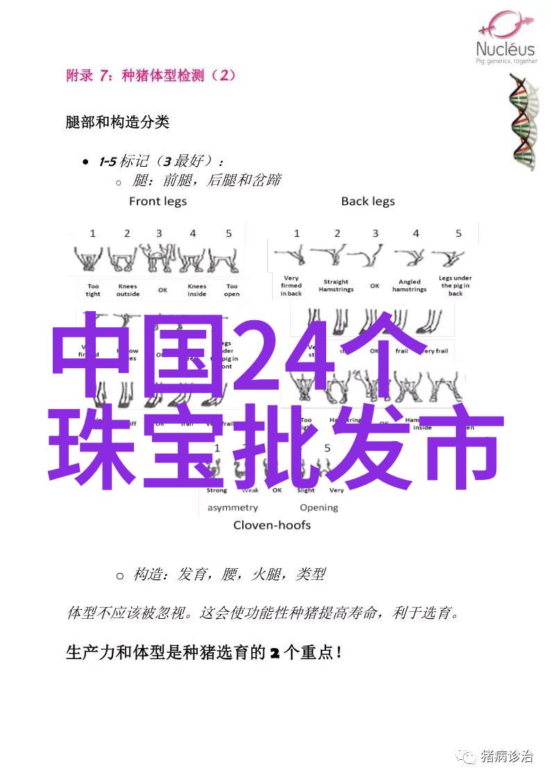 40岁短发发型女最新款我是如何找到适合自己风格的新发型的