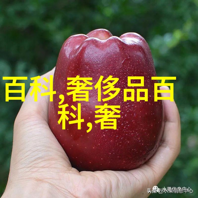 老师的兔子好软水动漫APP萌宠养成手游