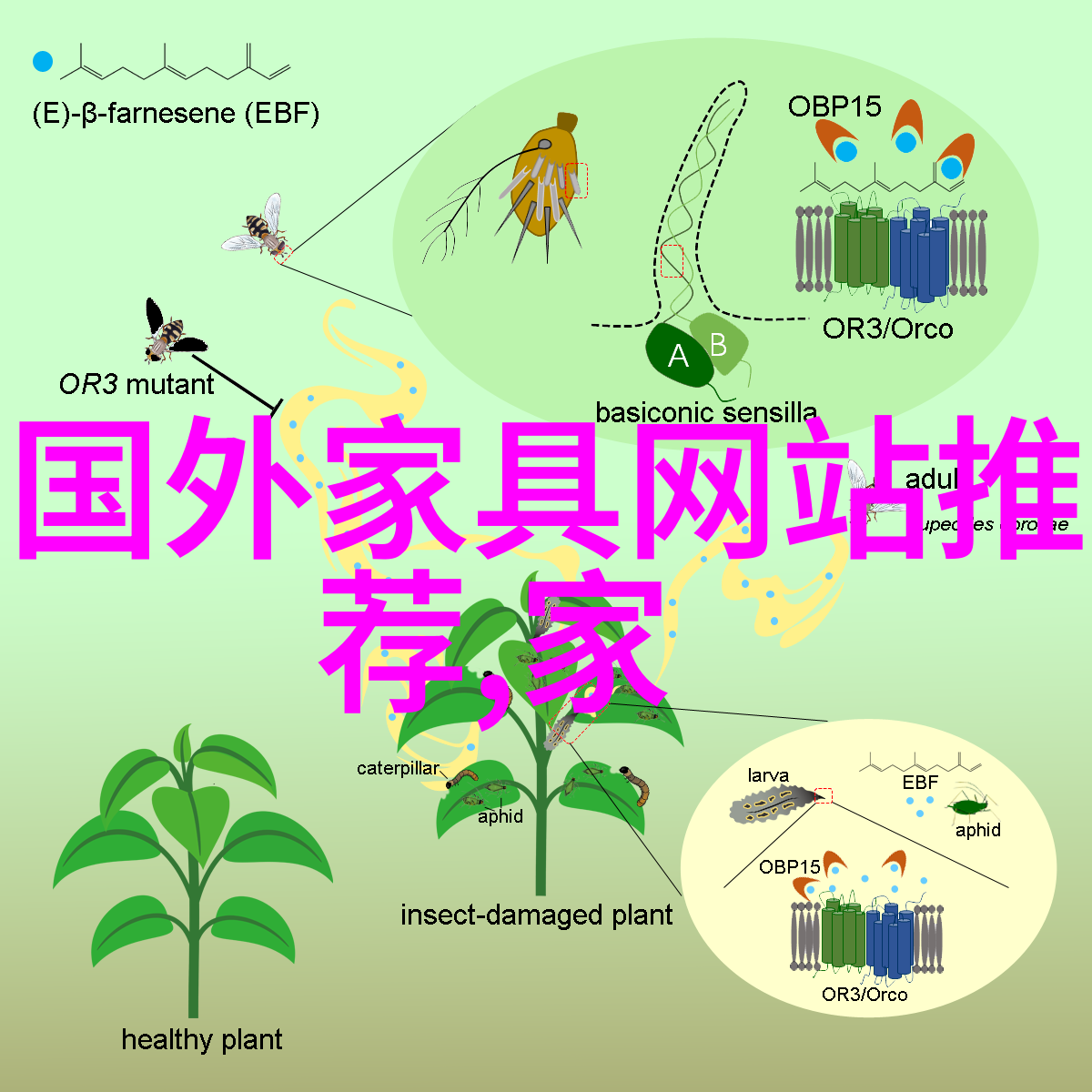 星辰之下思绪的璀璨篇章