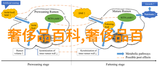 温馨居家探索日常家居图片中的生活美学