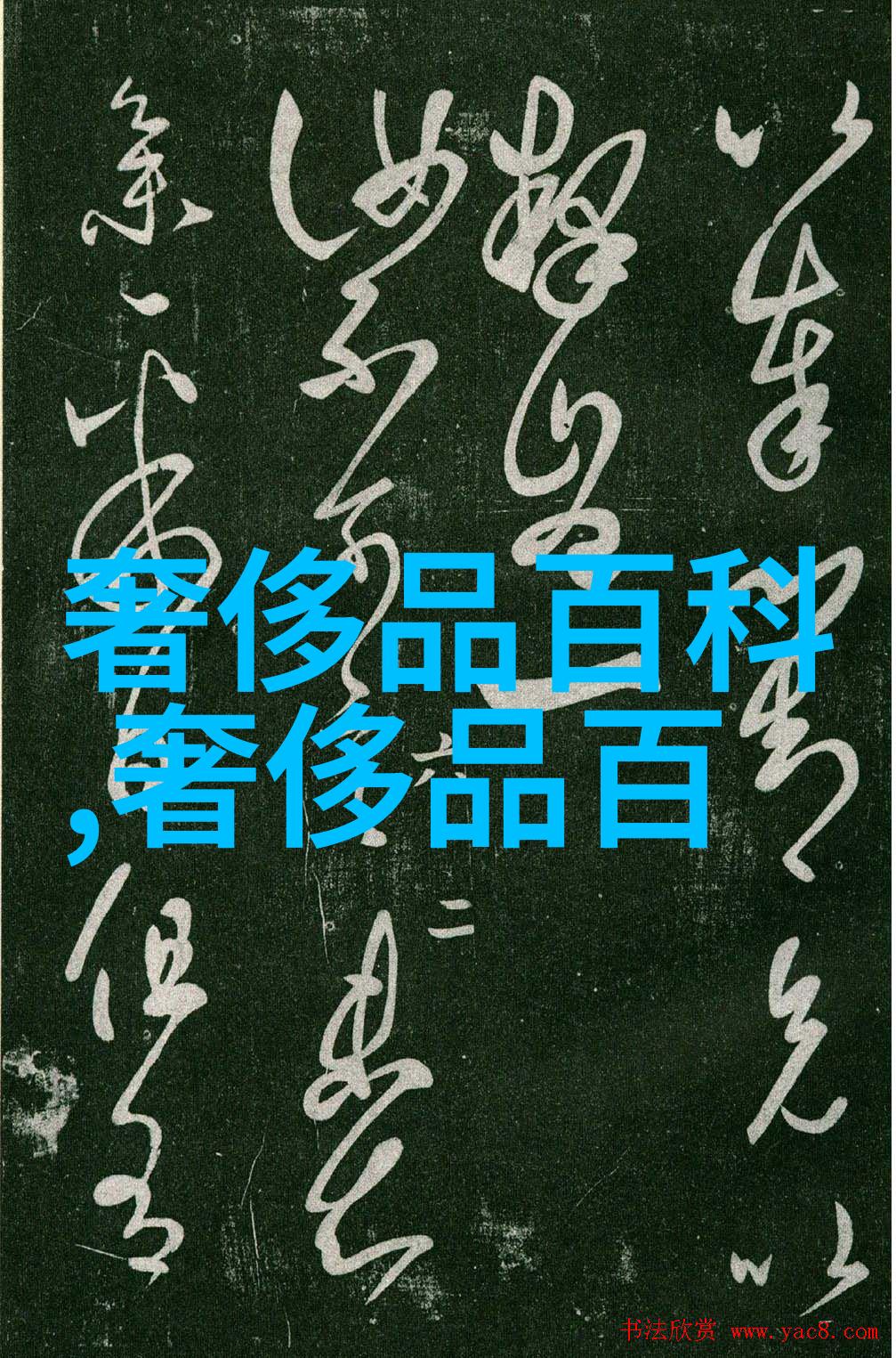 2023年最时尚的发型推荐从简约到复古探索流行趋势