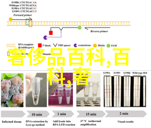 四十岁女性碎发造型探索时尚与优雅的完美融合