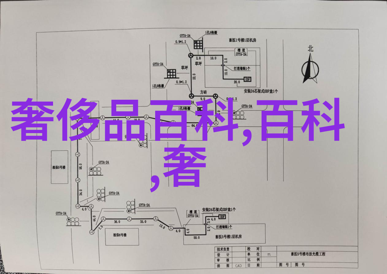 黄金璀璨的宝库珠宝中是否含有这层闪耀