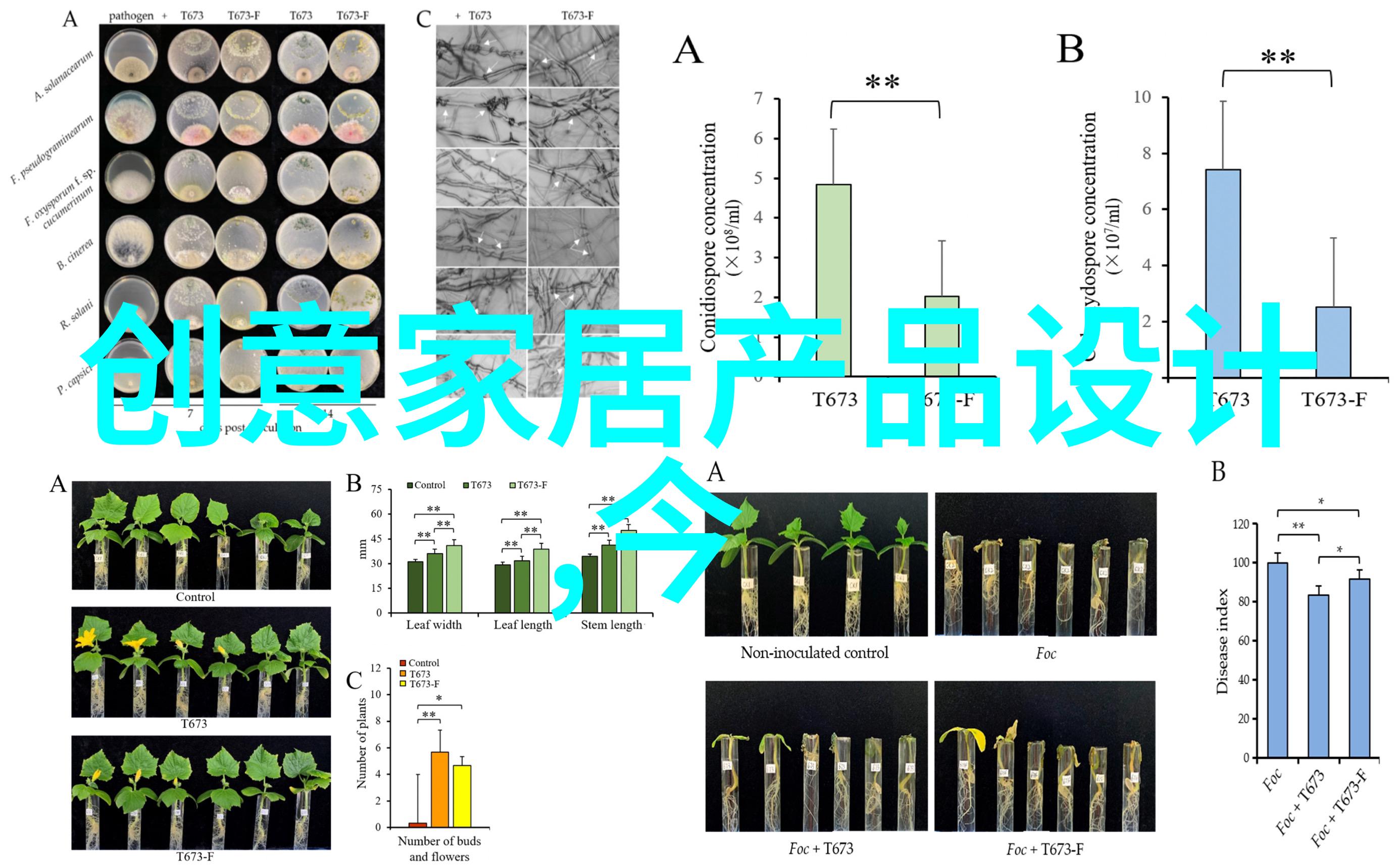 独占全文阅读强势的新纪元