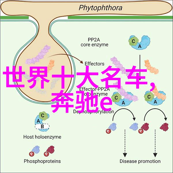 晨曦中的涓滴追逐日出水的诗意瞬间