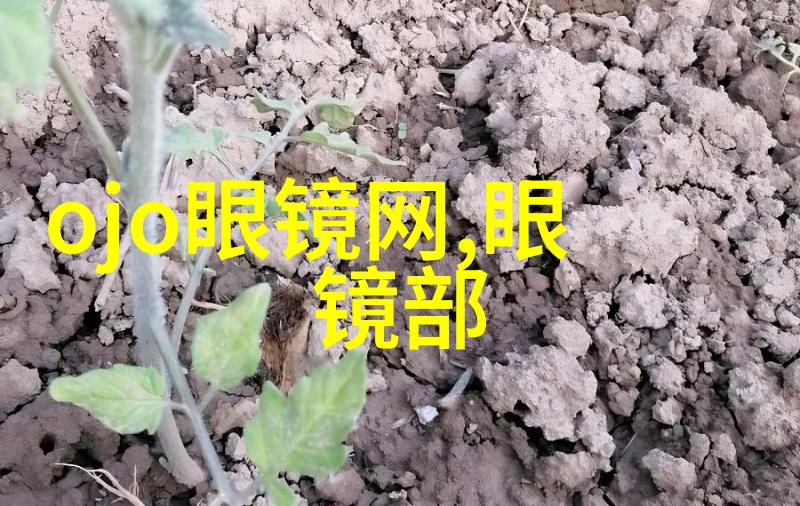 超龄耳畔的沉默探索25岁以上听不到的声音世界