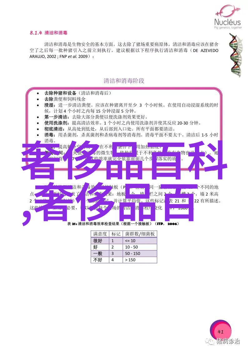 智能梦境工厂揭秘国内AI明星造梦网站的奇妙世界