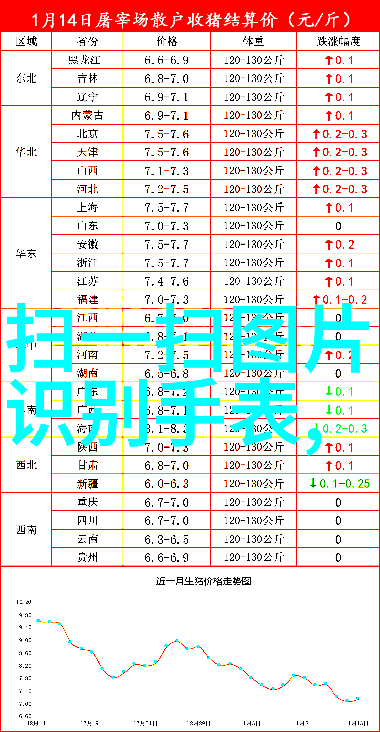 2023年最流行发型女性美学新趋势解析