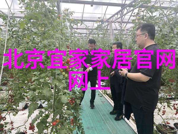 家具和家居的区别从实用到情感的深度解析