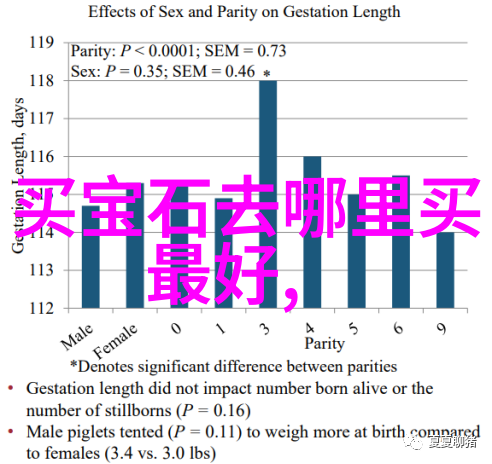 在初中的生活里简便又实用的校园装备有哪些推荐