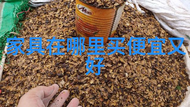 圣罗兰香水掌握迷人气质的涂抹艺术