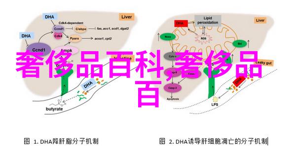 老凤祥今日黄金价格朝阳闪耀的黄金行情预测