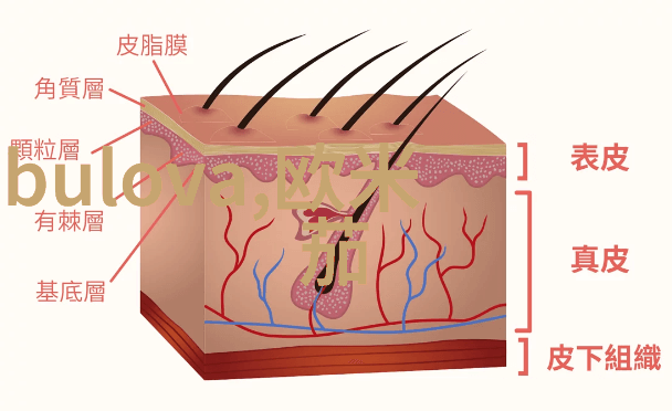 让每个角落都充满故事收藏家的视角下看待古董家具