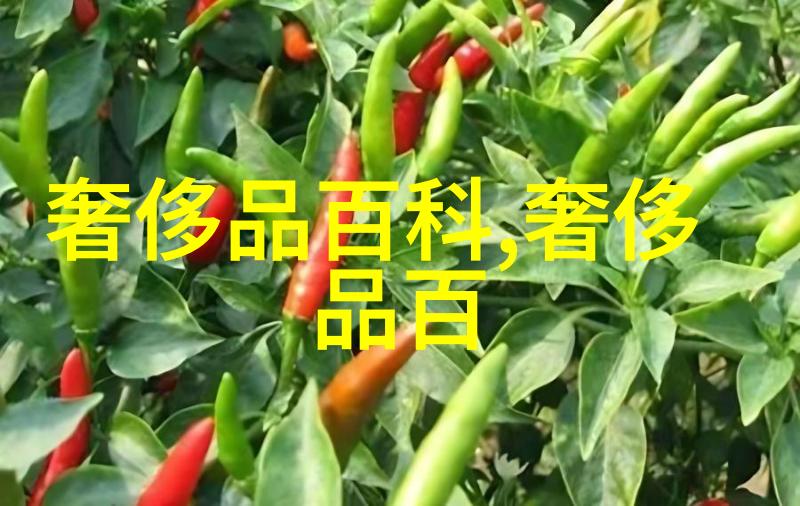 创意家居小摆饰灵魂艺术大享受