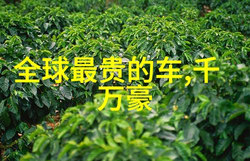 剪发技艺的传承与创新探索正规理发师培训学校的教育精髓