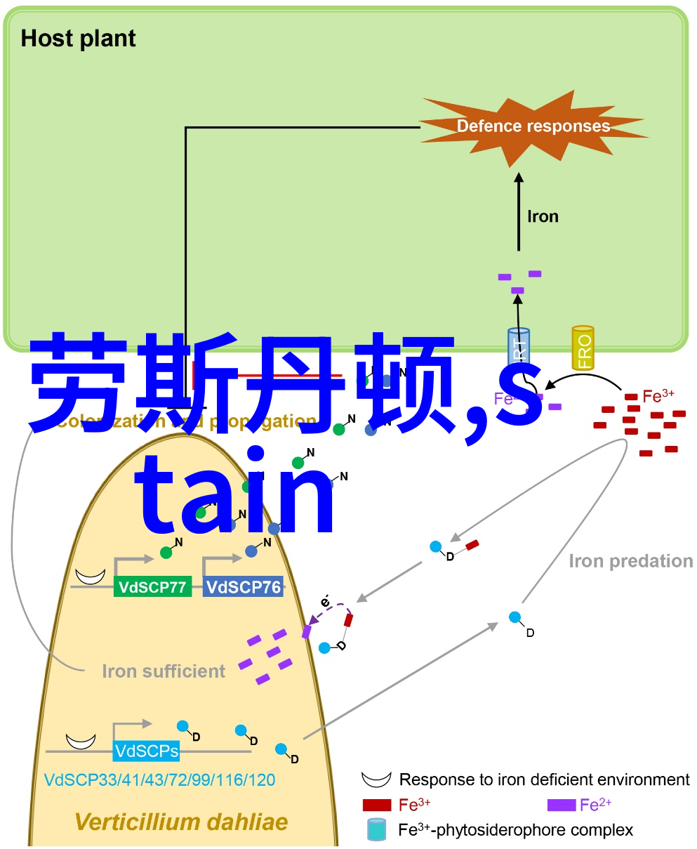 浦西之歌追忆与希望的交响