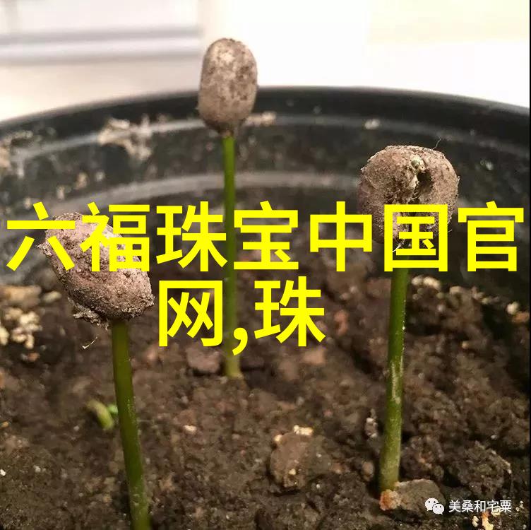 探索视界有没有控制近视眼镜的神奇科技