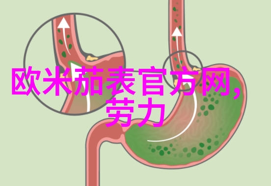 染发调色基础知识专业指南