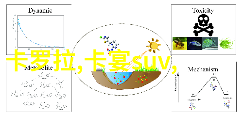 沙驰-风中的沙驰时光的痕迹与故事的编织