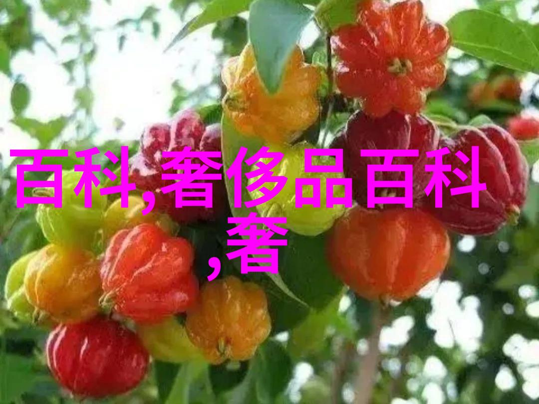 幽灵速翼劳斯莱斯的无形驾驶者