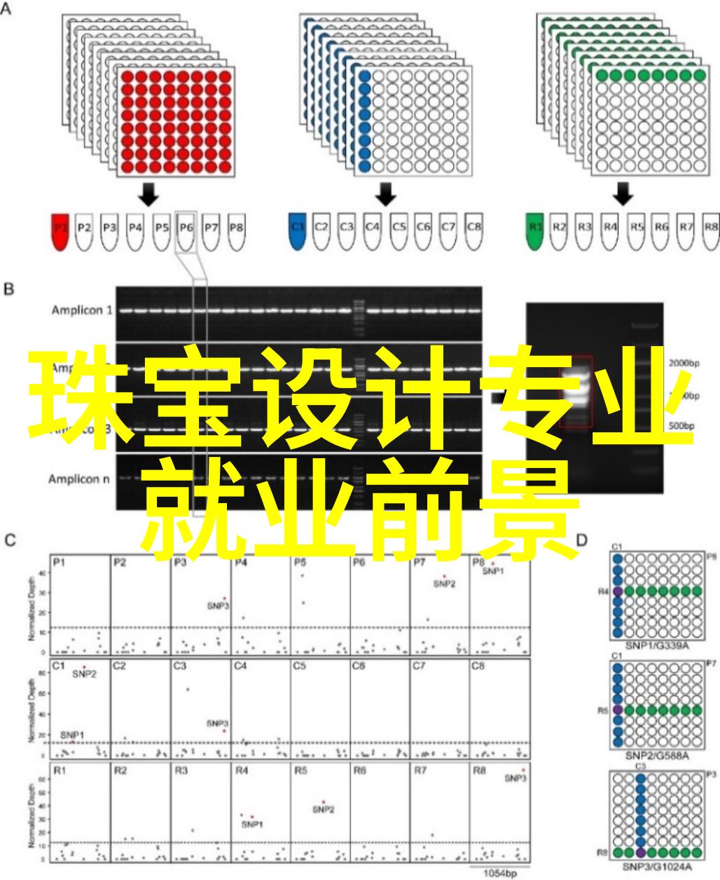 琴音遥寄探索琴帝世界的全集奇缘