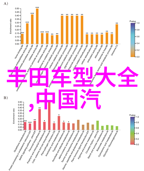 离婚的姐姐说想要重拾自我与新生活的故事