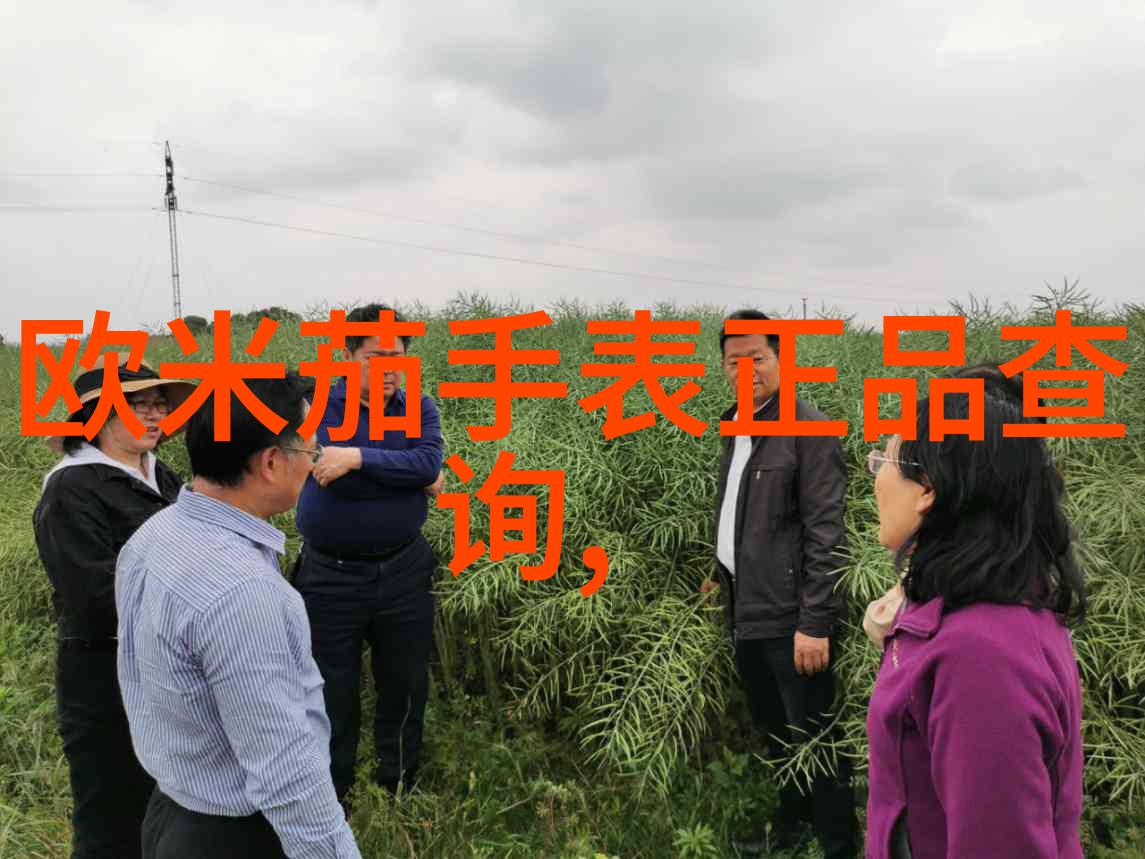 家居新趋势如何在找家居网上优化你的生活空间