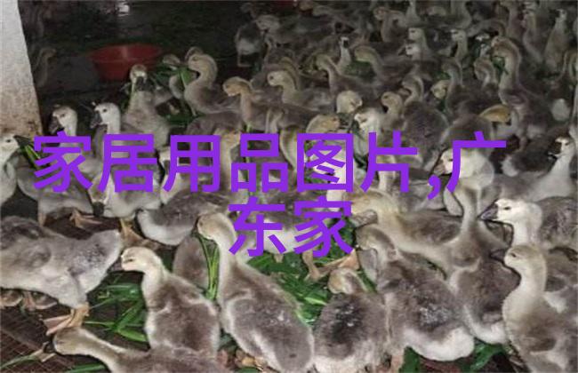 汤丽柏琦是如何将自己的生活经历融入文学创作中的