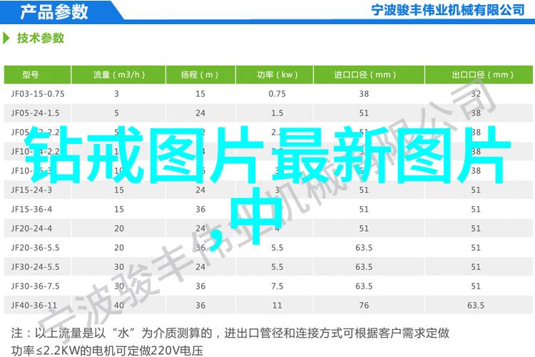 ZoomDog2021猪视频-探秘ZoomDog2021猪视频背后的创意与科技