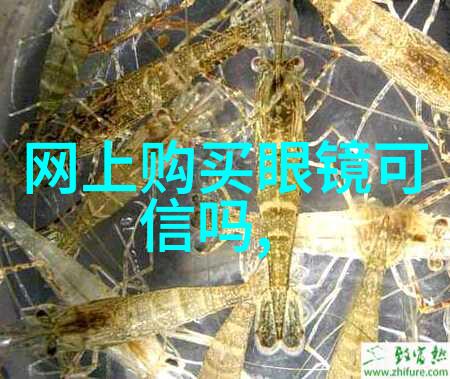 clamp仙境奇幻世界的美丽与魔力